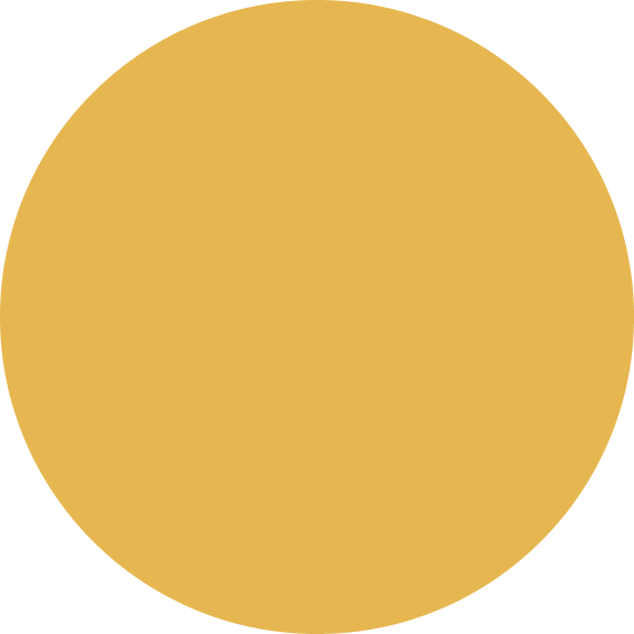 muted-yellow-large